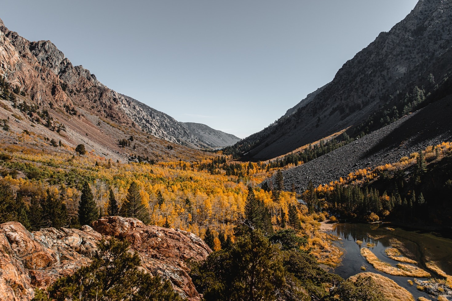 Top Tips for Finding Local Experts in Inyo Mono