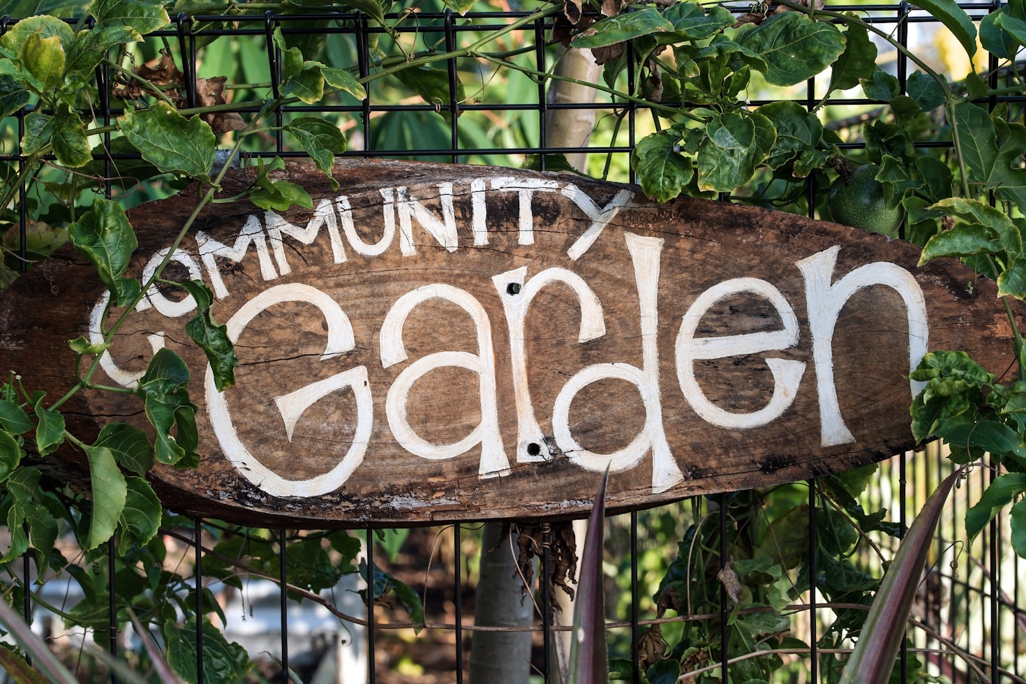 How User Reviews Help You Choose the Right Provider