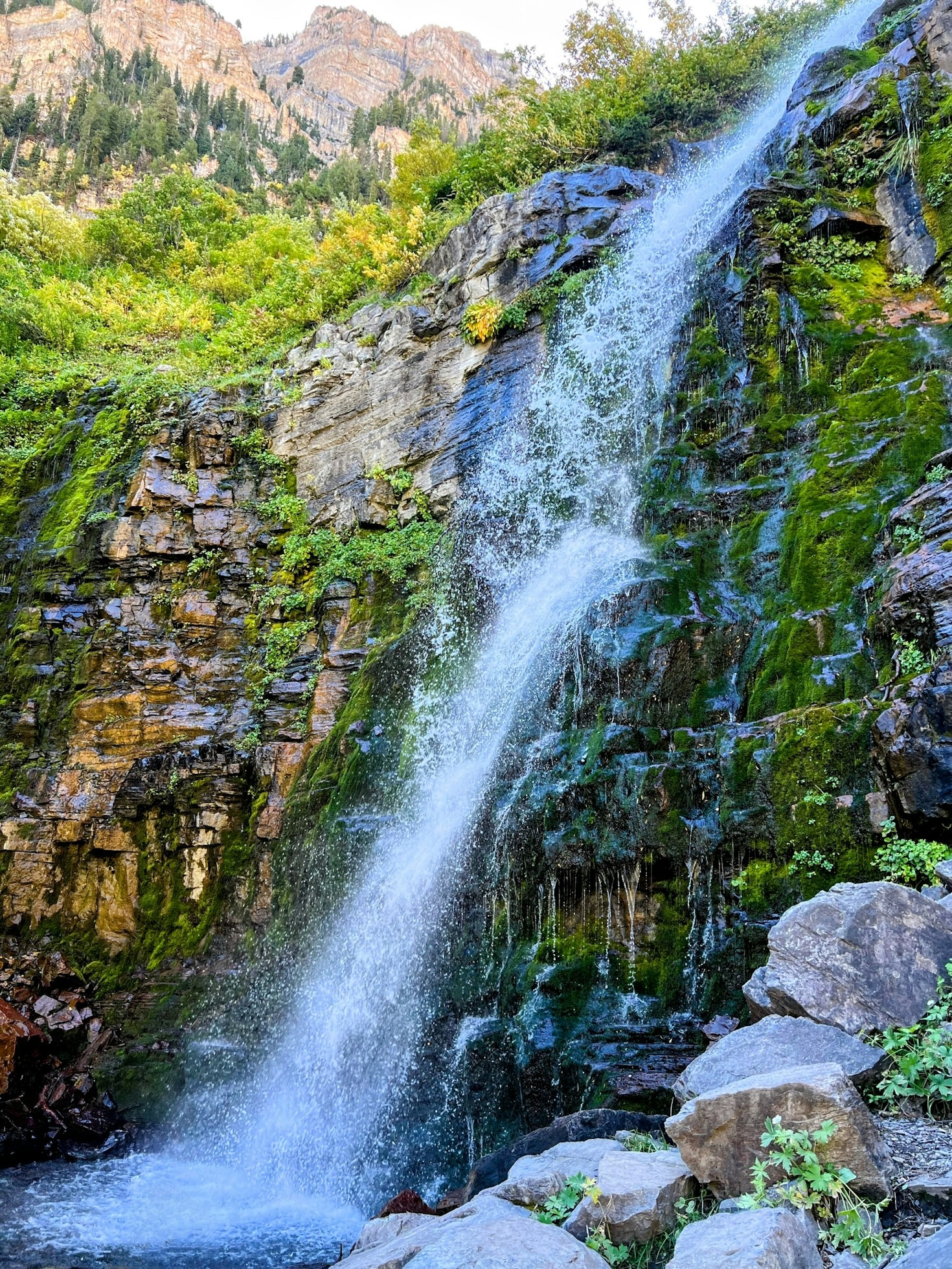 Five Must-Try Services for Tourists in Inyo Mono Counties