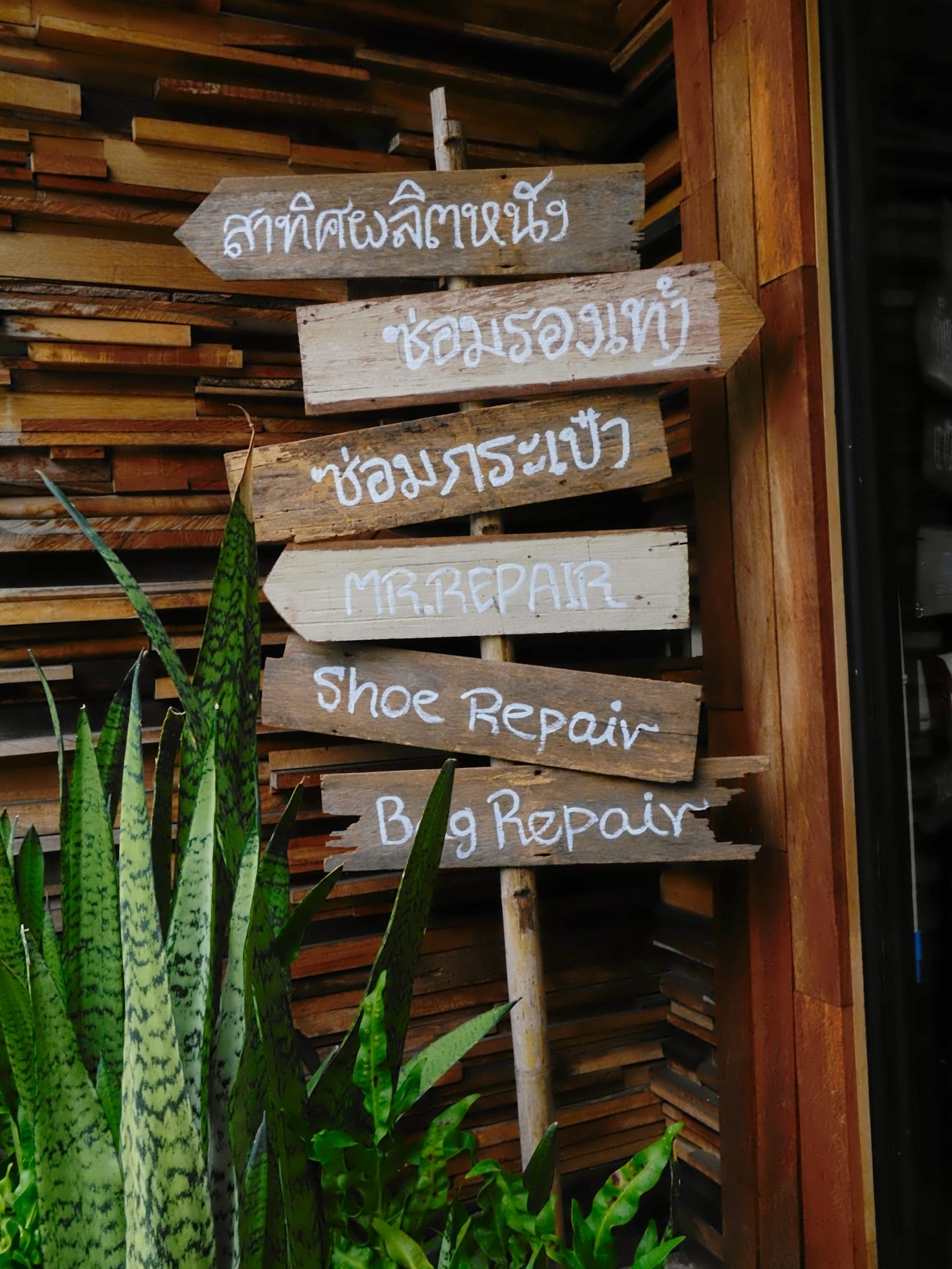 Simplify Your Life with These Top Local Providers